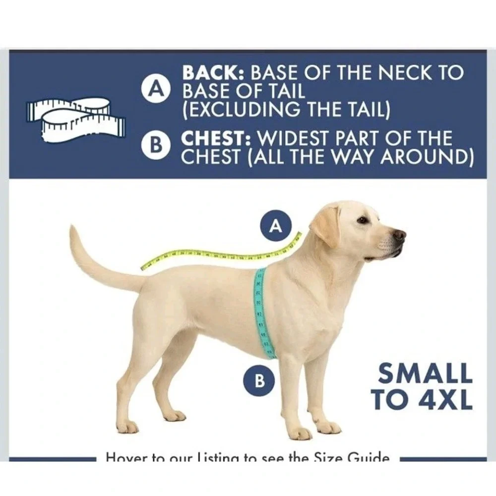 Spark Paws spark paws